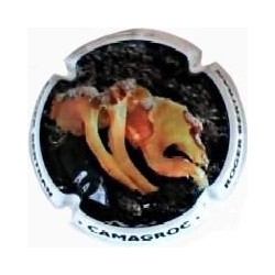 ROGER BERTRAND--V.20697-X.71783