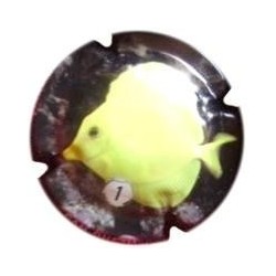 CAN QUETU--V.10683--X.34643