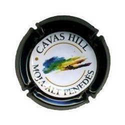 CAVAS HILL-V.5612--X.04925