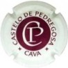 CASTELO DE PEDREGOSA-V.1307-X.01469