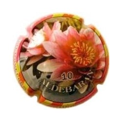 ALDEBARAN--V.11129-X.35123