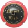 MASET DEL LLEÓ--V.14675--X.44477