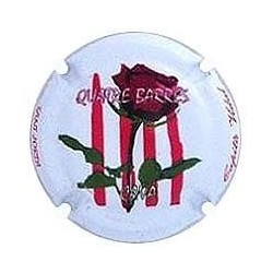 CAPITA VIDAL-V.NOVEDAD-X.101273 -SANT JORDI 2013