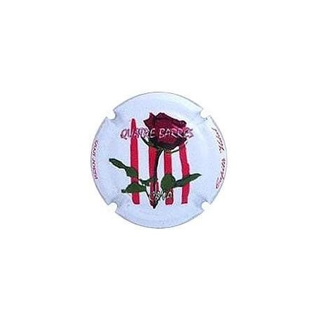 CAPITA VIDAL-V.NOVEDAD-X.101273 -SANT JORDI 2013