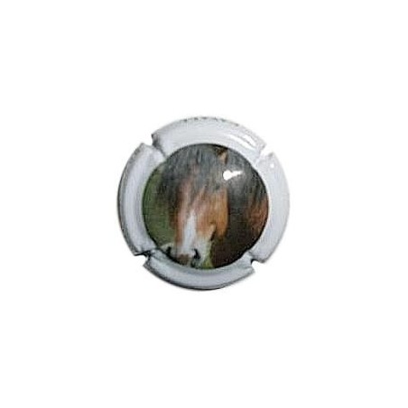 MONT MARÇAL--V.21926-X.77207