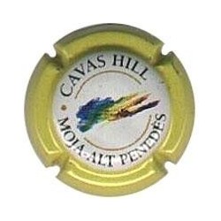 CAVAS HILL-V.2489