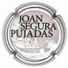 JOAN SEGURA PUJADES-V.NOVEDAD