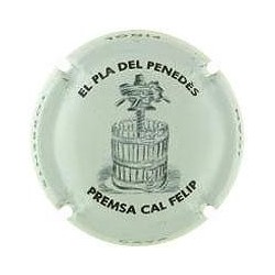 JOAN PIÑOL---X.93089