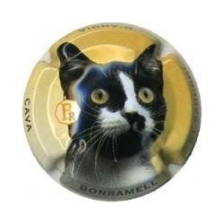 BONRAMELL-V.10667-X.23933