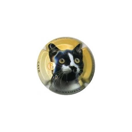 BONRAMELL-V.10667-X.23933