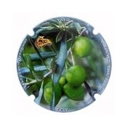 COOP. CALAFELL-X.86798