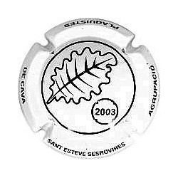 Sant Esteve Sesrovires-X.3007149