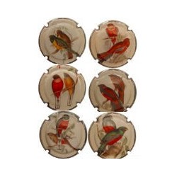 MERVILLA--X.114182    OCELLS 1