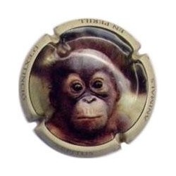 XEPITUS-V.11113-X.19320