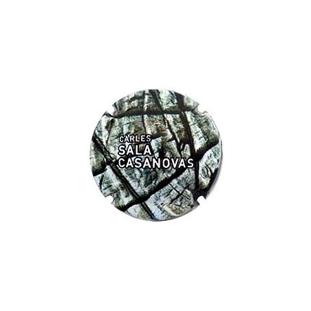 Sala Casanovas-X.125963