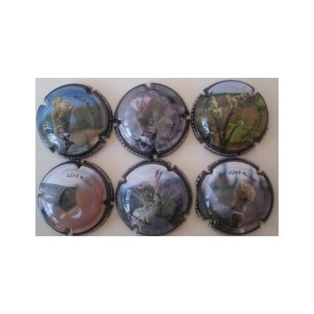 GIRO RIBOT JUEGO 6 PLACAS V. 13423 A 13428