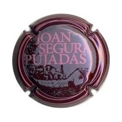 JOAN SEGURA PUJADES-V.21641-X.81409