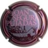 JOAN SEGURA PUJADES-V.21641-X.81409