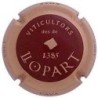 LLOPART-V.30235-X.107359