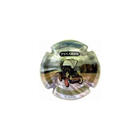 PINARIO   V.15331 - X.53699