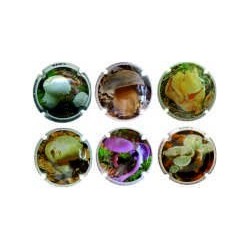 ALIRON´S - BOLETS COL.1