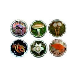 ROGER BERTRANDROGER BERTRAND - BOLETS COL.4