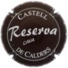 CASTELL DE CALDERS---X.143077