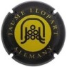 JAUME LLOPART--X.87907