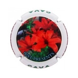 JUST PRESENTS--X.128624