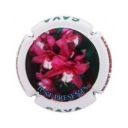 JUST PRESENT--X.128623