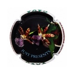 JUST PRESENT--X.128625