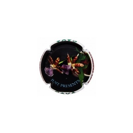 JUST PRESENT--X.128625