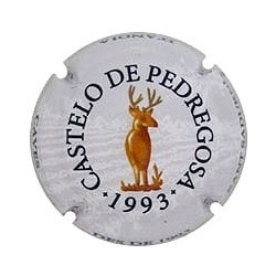 CASTELO DE PEDREGPSA--X.101553