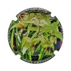 JUST PRESENTS--X.156093