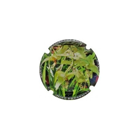 JUST PRESENTS--X.156093