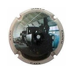 NANCI CAROL--X.102079