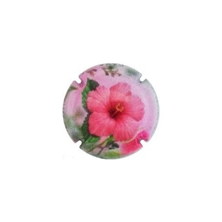 CELLER VELL--X.148505