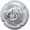 CAVAS HILL--V.0366a--X.1070