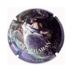 ALDEBARAN--X.04691--V.10181