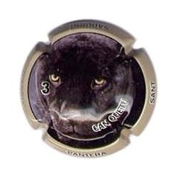 CAN QUETU--V.11697--X.35311