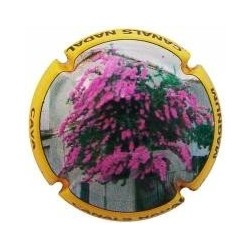 CANALS NADAL---X.59584--V.24574