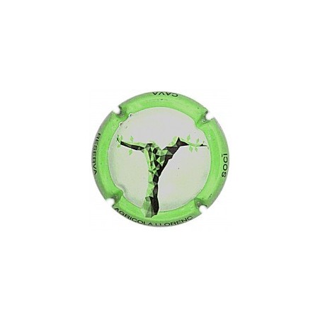 COOP.LLORENÇ DEL PENEDES--X.147757