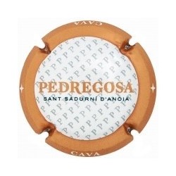 CASTELO DE PEDREGOSA--X.133620