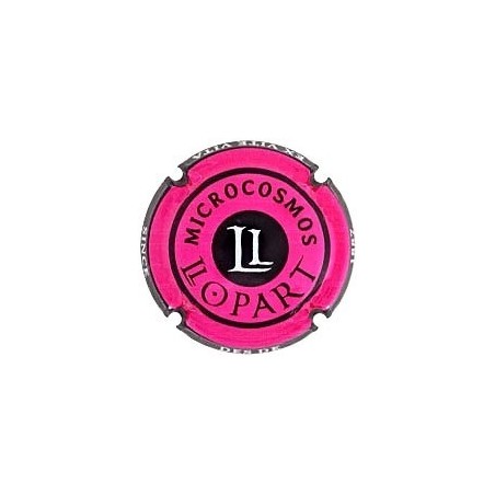LLOPART---X.168597