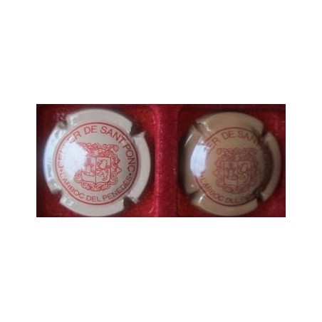 CELLER DE SANT PONÇ--X.01434--V.1520 (2 TONS)