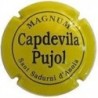 CAPDEVILA PUJOL--V.11238-X.19356