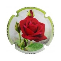 BUTI MASANA--X.177701