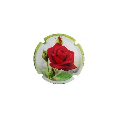 BUTI MASANA--X.177701