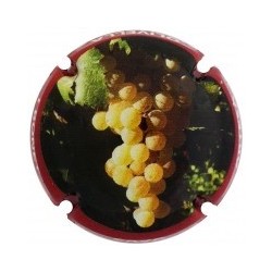 OLIVELLA I BONET--X.165020