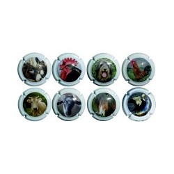 MONT-MARÇAL--X.77195-200-3-4-6-7-78898